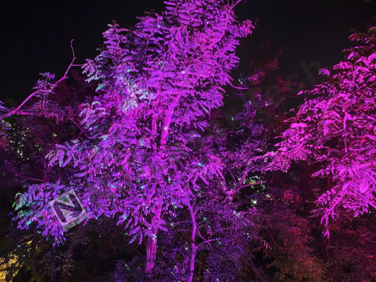 Plage de température de 10°C-35°C Affichage laser brillant avec éclairage RVB