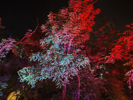 Plage de température de 10°C-35°C Affichage laser brillant avec éclairage RVB