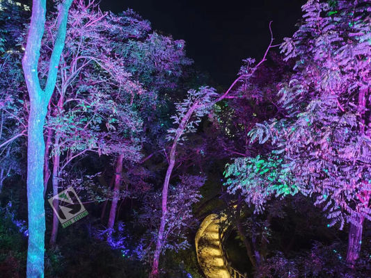 1000mW Laser Show avec le module de scanner XY à grande vitesse et le système de refroidissement