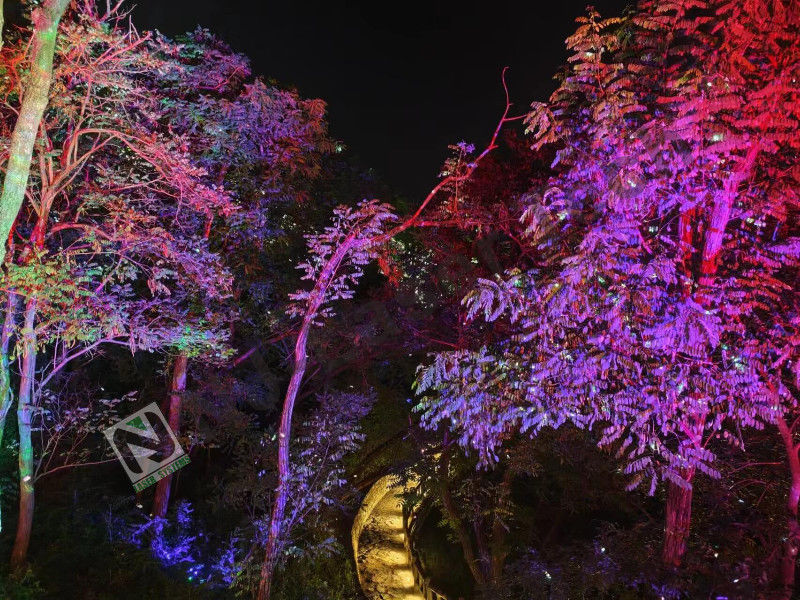 10°C-35°C Magnifique émission de lumière laser parfait fonctionnement stable pour les grands événements