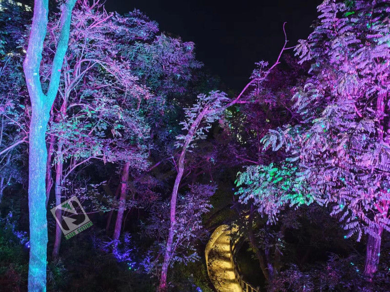 1000mW Laser Show avec le module de scanner XY à grande vitesse et le système de refroidissement
